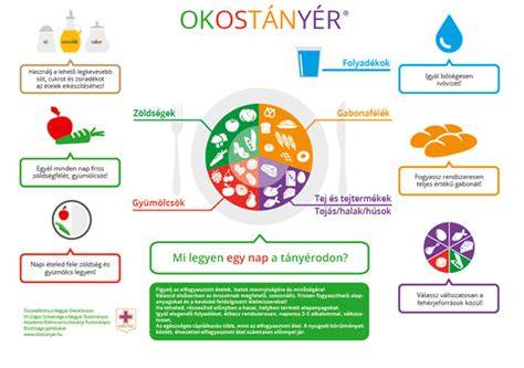 grafikusan ábrázolt adományozási folyamat
