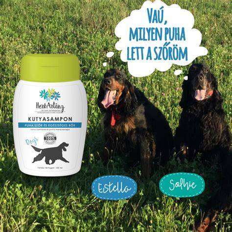 természetes alapanyagú kutyasampon ápolási tulajdonságok