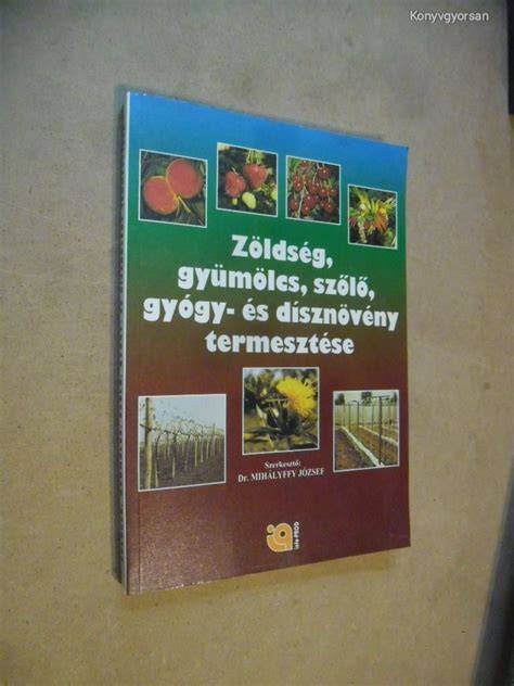 gyumolcs es hofogoloes kiejtes infographic