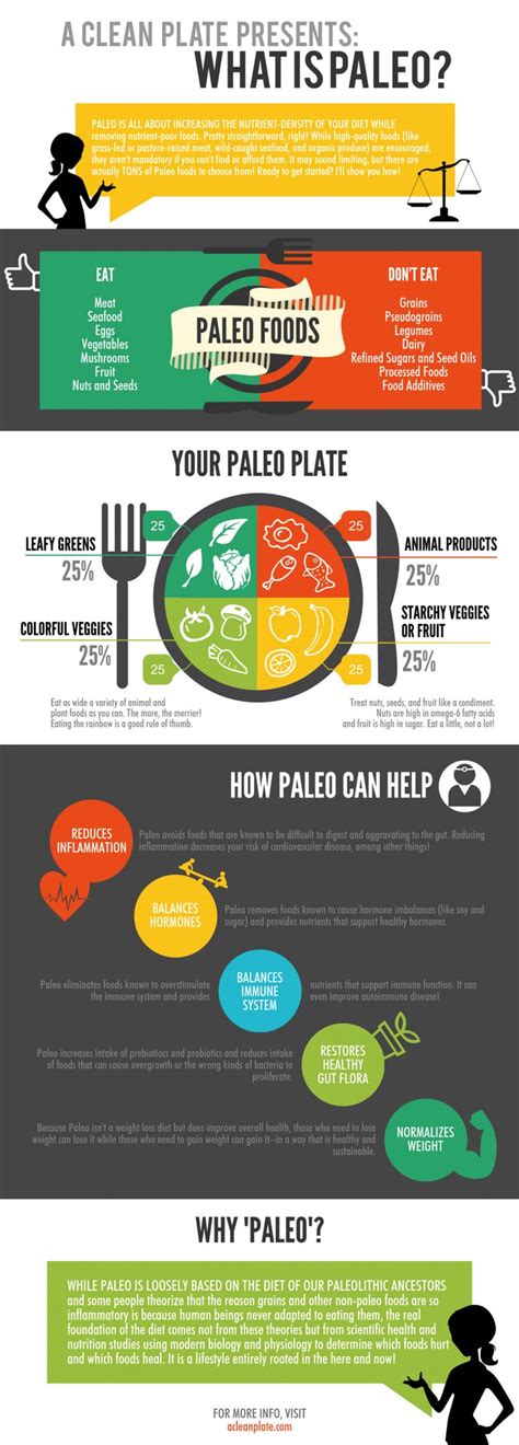 gasztro paleo receptek infographic