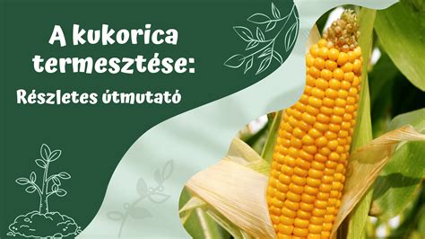 részletes útmutató a otthonról indítható kisvállalkozásokhoz