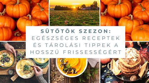 Mák tárolási és felhasználási ábra