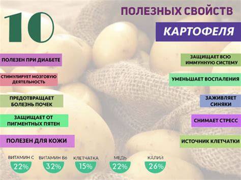 Infografika a burgonya táplálóanyagai és kalóriatartalma