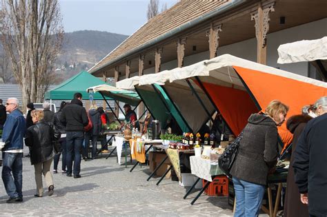 Letenyei termelői piac látkép tervrajzon