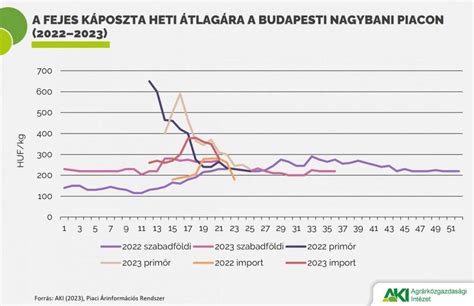fejes-káposzta-erdekesség-infografika