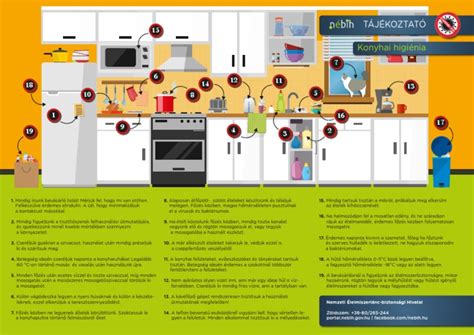 konyhai infografika a plantain felhasználásáról