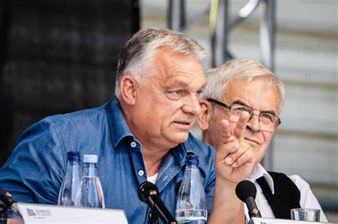 tengerbiológiai sokszínűség vizuális áttekintése