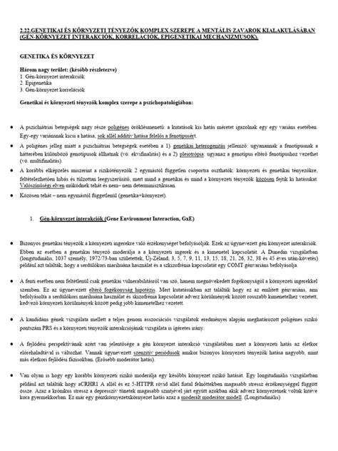 Környezeti környezet és játszóudvar leírása