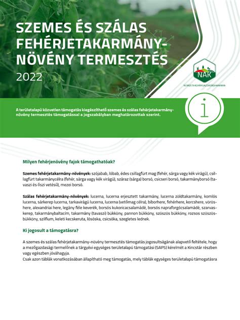 koles termesztés és felhasználás