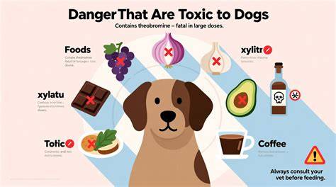 illustration of dog avoiding forbidden foods