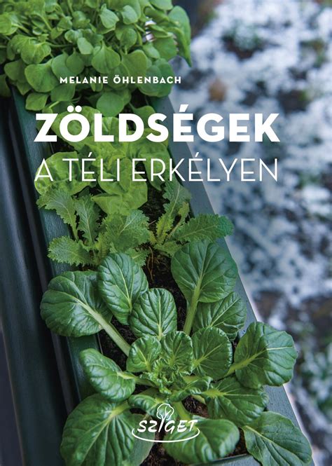 Zöldségek filcből vizuális összefoglaló