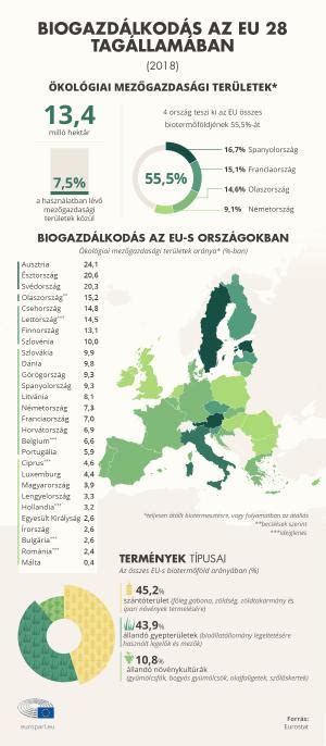 infografika az összetevőkről és tápanyagokról