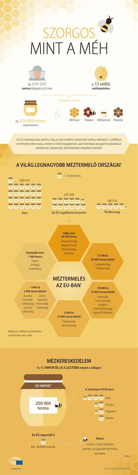 Infografika a kocsonya főbb lépéseiről