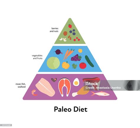 vizualizációs ábra a paleo alapelveiről