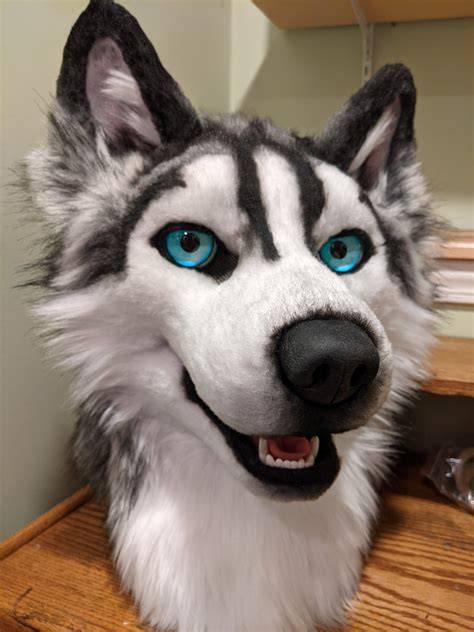 Husky fursuit vizuális összehasonlítás diagram