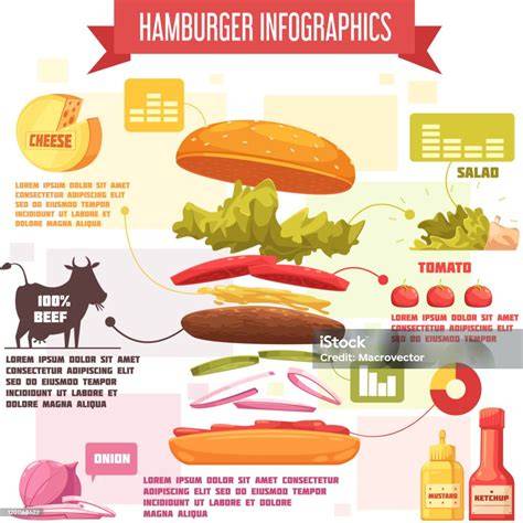 Infografika a hamburger-hungaria működéséről