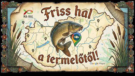 friss hal minőségi jelei