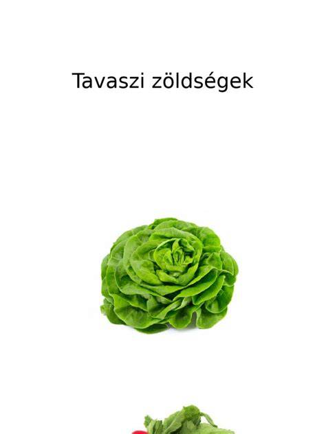 Friss tavaszi zöldségek infografika