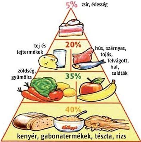 táplálkozási piramis ábrázolás