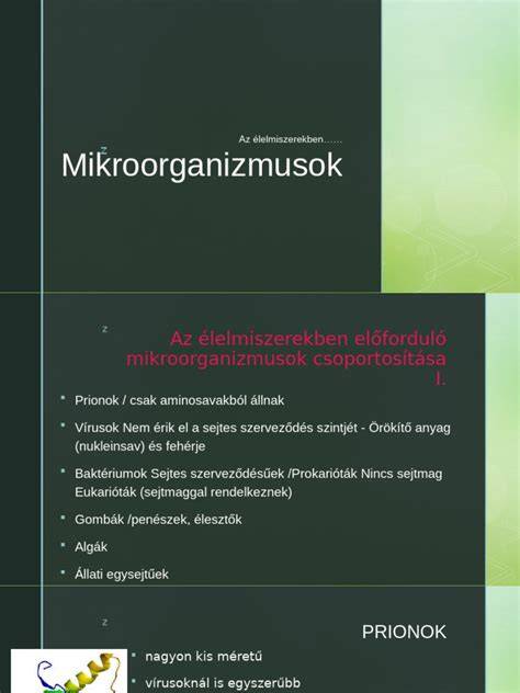vizualis ábra az érlelőpincéről és a mikroorganizmusok kölcsönhatásáról