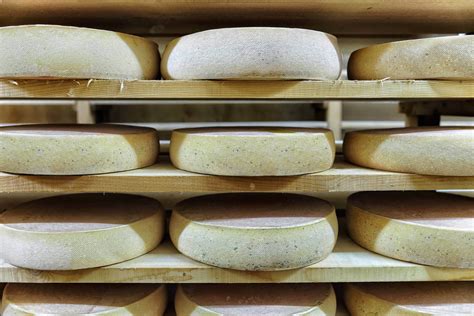 zegzugos ábra a zeneszámok hatásáról a sajt ízére