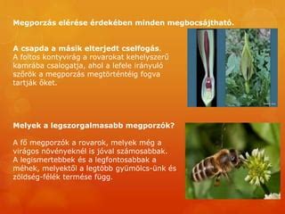 megporzás szerepe növényvilágban