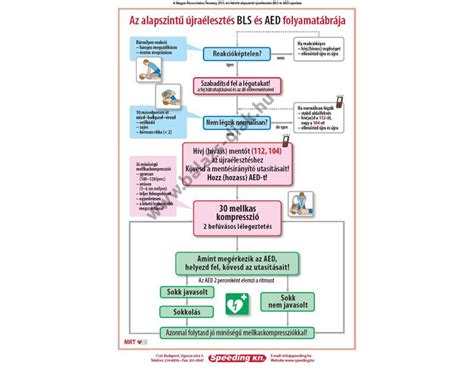 Főzési és tartósítási lépések folyamatábrája