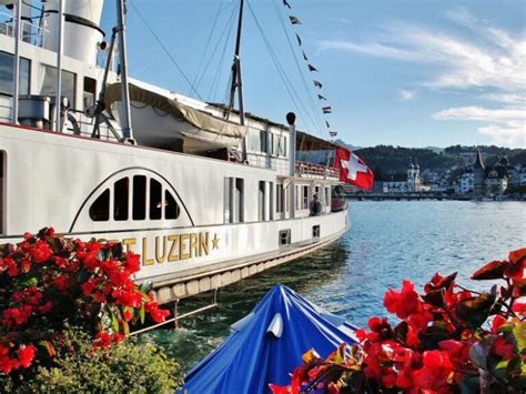 lucerna-kapszula-illusztráció