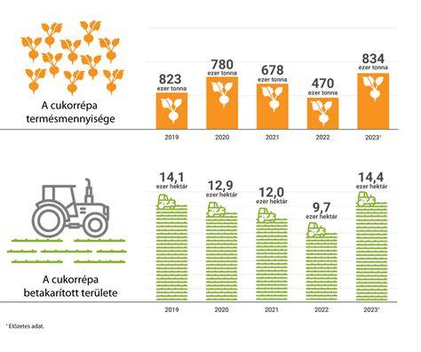 infografika élelmiszer-összetevők aránya