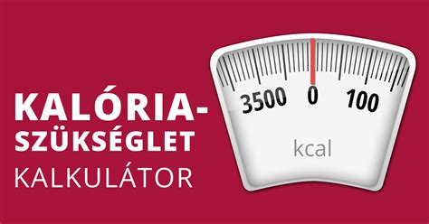 kalória kalkulátor vizuális ábra