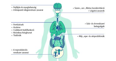 infografika zenei hatások időkívül
