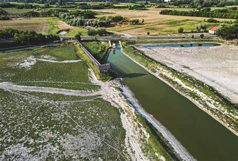 szikes tavak és legeltetés kapcsolata