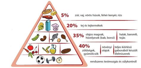 tojásdiéta és táplálkozás összefüggése