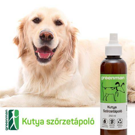 kutyák probiotikus fermentációs zöldségek
