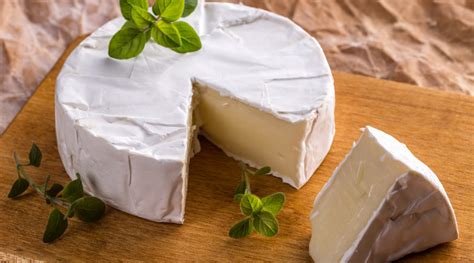 brie sajt története és felhasználási módok infographic