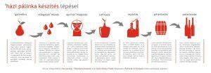 Pizza készítés lépései infografika