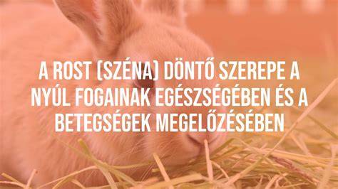 nettó szénhidrát rost szerepe