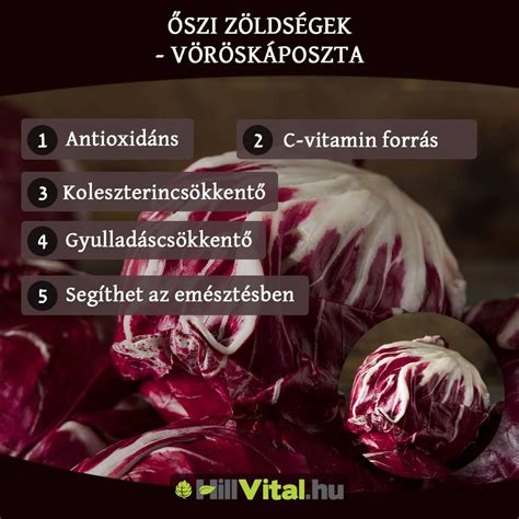 zöldségek csokoládé alternatívák infografika