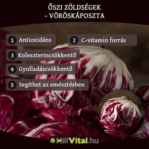 zöldségek spirálozás infografika