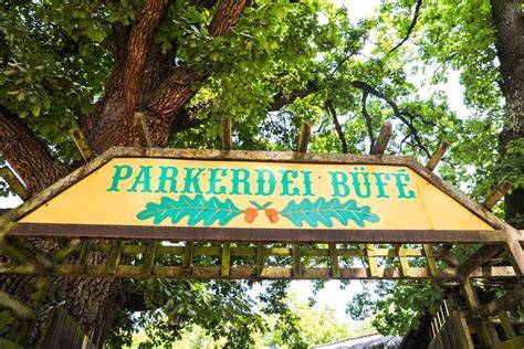 Közösségi hangulat Parkerdei Büfé