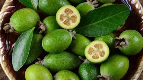 feijoa grúz gyümölcs